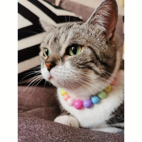 Pet Necklace Imp