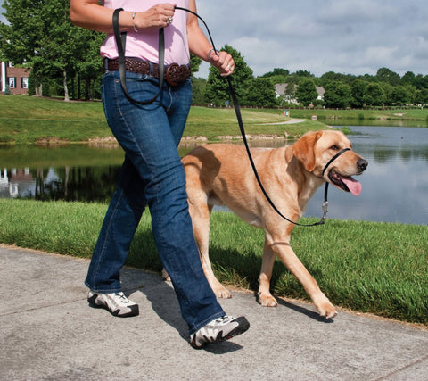 Square Leather Leash With Spring