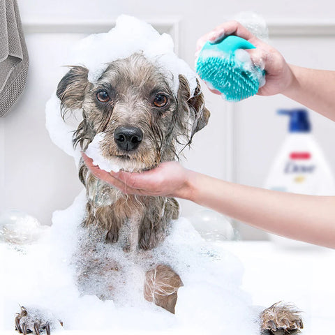 Silicone Massage Brush Cats and Dogs