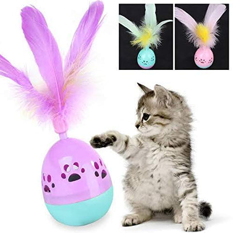 Ball With Feather Cat Toy