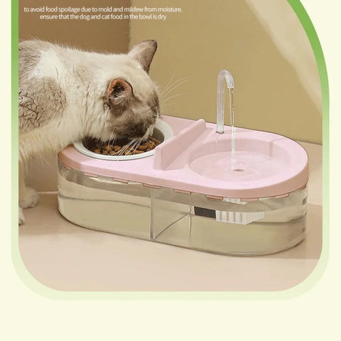 Oval Fountain With Feeding Bowl For Pets