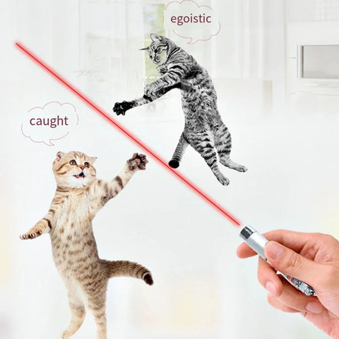 Cat Playing Laser