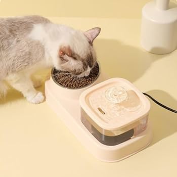 Square Fountain With Feeding Bowl For Pets