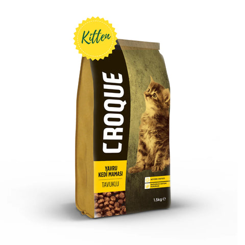 Croque Kitten Food Chicken