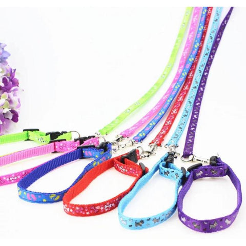 Cat Harness Simple