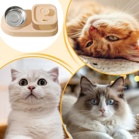 Square Fountain With Feeding Bowl For Pets