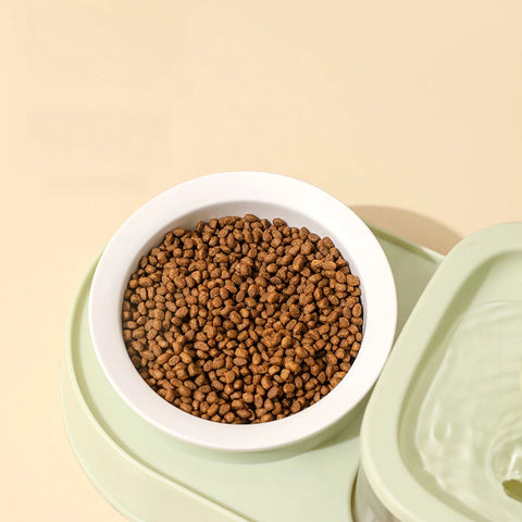 Fountain With Double Round Bowl For Pets