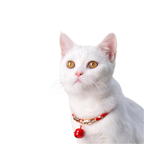 Pet Necklace (Local)