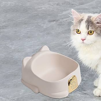Large Size Cat Face Bowl