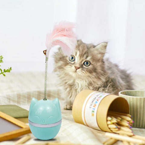 Spring Ball Cat Toy Simple