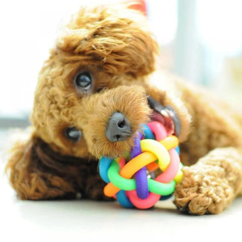Star Ball Toy For Pets