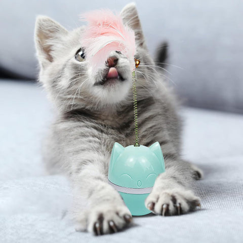 Spring Ball Cat Toy Simple