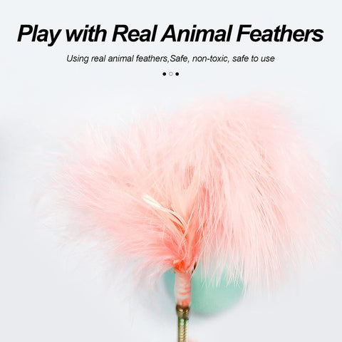 Spring Ball Cat Toy Simple