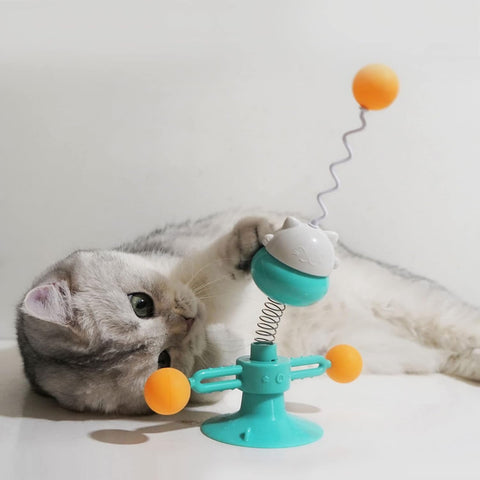 Cat Face Spring Windmill Toy For Cats