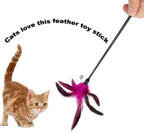Bird Feather Stick