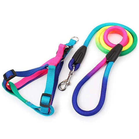 Rainbow Leash With Harness