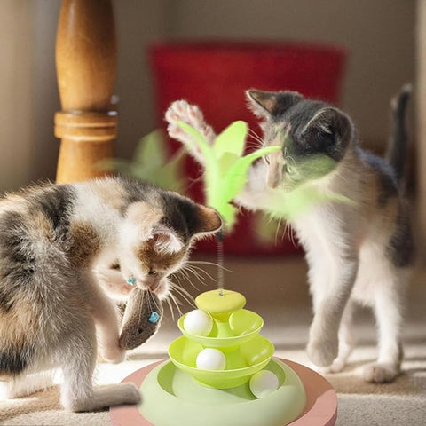 Track Of Tower For Cats