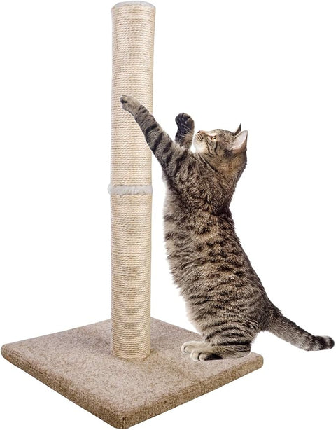Scratching Post Single Pole