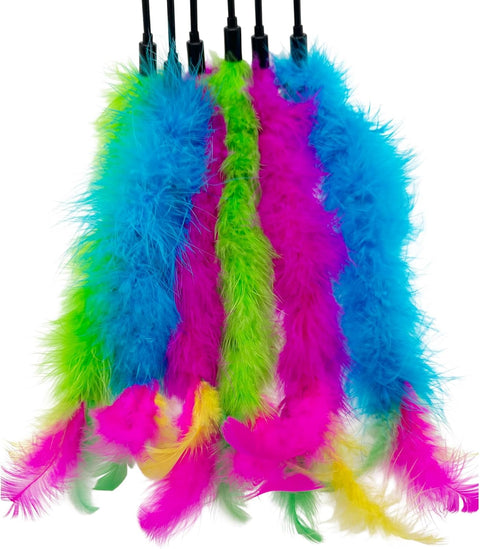 Cat Playing Feather Stick Low