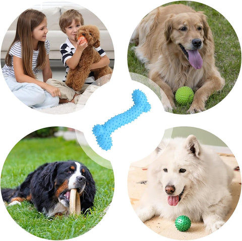 Bone Toy For Dog