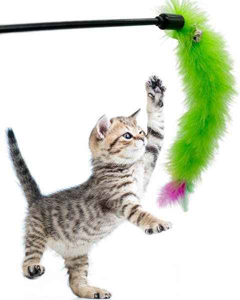 Cat Playing Feather Stick Low