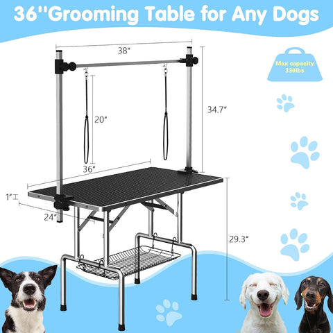 Pet Grooming Table