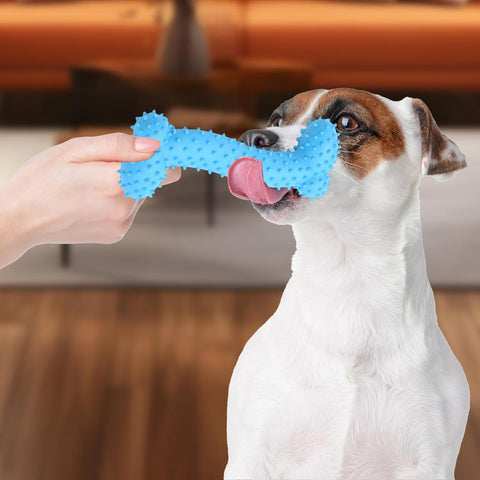 Bone Toy For Dog