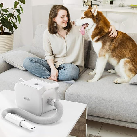 Pet Hair Dryer Large