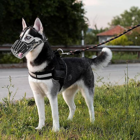 Iron Muzzle
