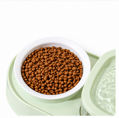 Mint Green Pet Feeding Station with White Bowl Filled with Dry Cat Kibble, Built-In Water Dispenser and Circulating Drinking Fountain for Cats and Small Dogs