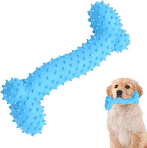 Dog holding a blue bone-shaped chew toy in its mouth on a white background