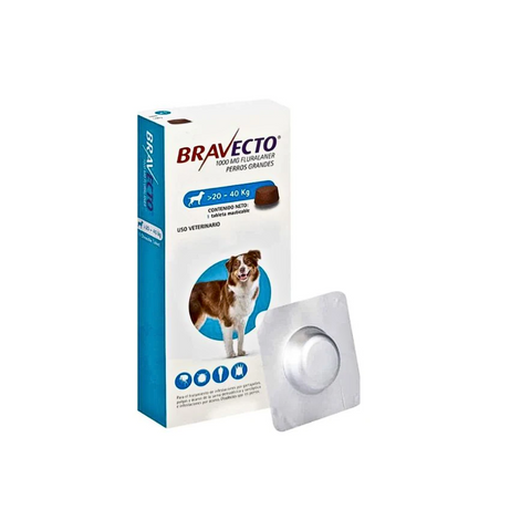 Bravecto packaging for large dogs with a dog illustration on a white background