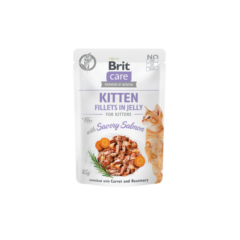 Packaged cat food for kittens with savory salmon flavor on a white background