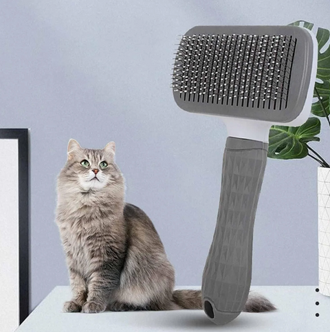 Cat sitting next to a pet grooming brush on a light blue background