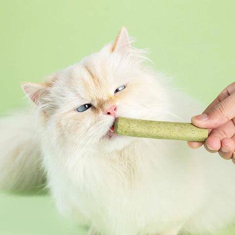Cat Grass Teething Stick Chicken Flavour (6 Pieces Set)