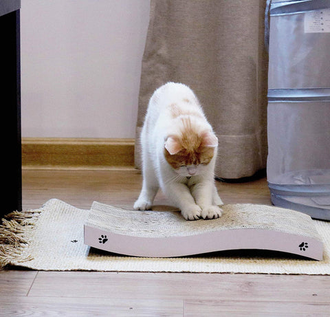 Cat Scratching Flip Pad Large Bed Type