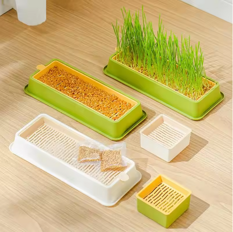 Set of green and white pet food and grass trays on a wooden surface
