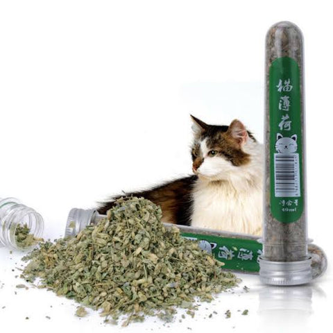 Cat with a container of catnip and scattered catnip on a white background