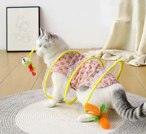 Cat wearing a decorative outfit with a yellow hoop and floral pattern on a light-colored floor.