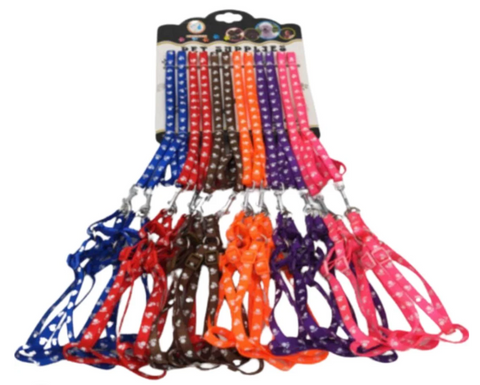 Set of colorful dog leashes on a white background