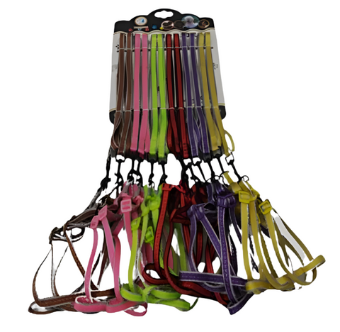 Assorted colorful dog leashes on a white background