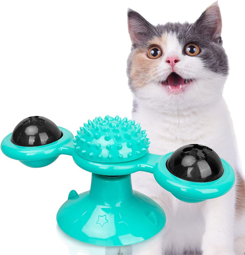 Cat playing with a teal rotating toy on a white background