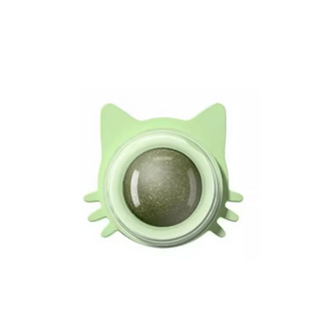 Green cat-shaped container with a round object inside on a white background