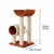 Dual Function Scratcher with Tunnel & Curved Top