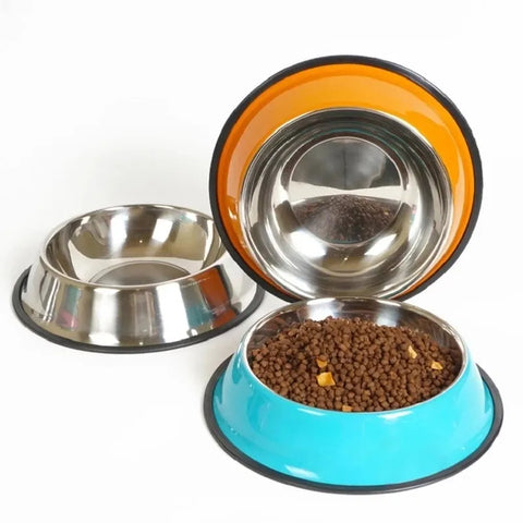 Three pet bowls with different colored rims on a white background