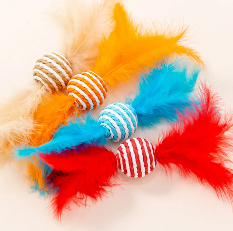 Colorful cat toys with feathers on a light background