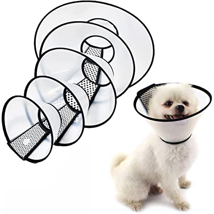 Set of pet cones with a small dog wearing one on a white background