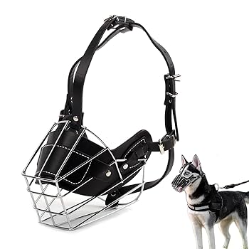 Dog muzzle with metal wire design and leather straps, next to a dog on a white background