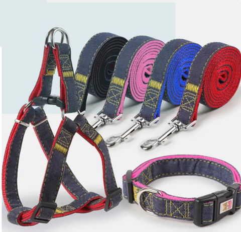 Dog harness, leash, and collar set with colorful straps on a white background