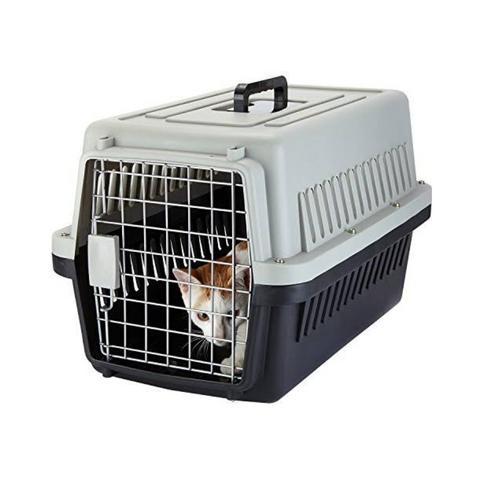 Pet carrier with a dog peeking out on a white background